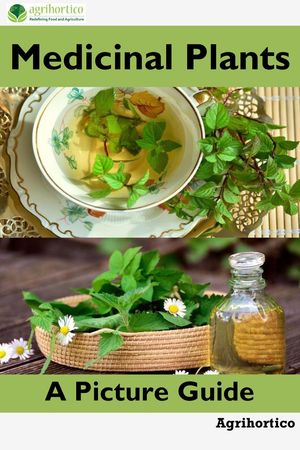 Medicinal Plants: A Picture Guide