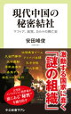 現代中国の秘密結社　マフィア、政党、カルトの興亡史【電子書籍