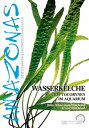 Wasserkelche Cryptocorynen im Aquarium【電子書籍】 Maike Wilstermann-Hildebrand