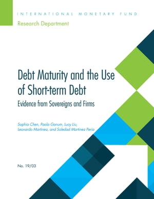 Debt Maturity and the Use of Short-Term Debt