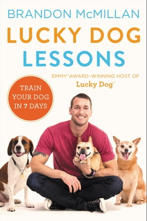 Lucky Dog Lessons