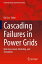 Cascading Failures in Power Grids Risk Assessment, Modeling, and SimulationŻҽҡ