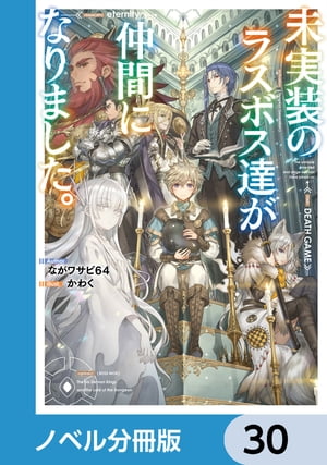 未実装のラスボス達が仲間になりました。【ノベル分冊版】　30