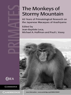 The Monkeys of Stormy Mountain
