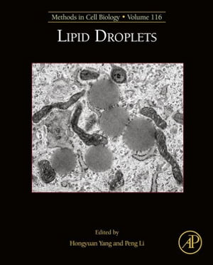 Lipid Droplets