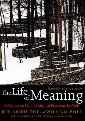 The Life of Meaning