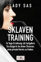 Sklaventraining, Band 1 14 Tage Erziehung mit Aufgaben. So steigerst du deine Chancen, eine private Herrin zu finden.