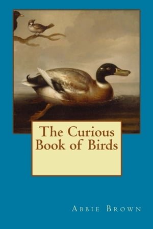 Curious Book of Birds