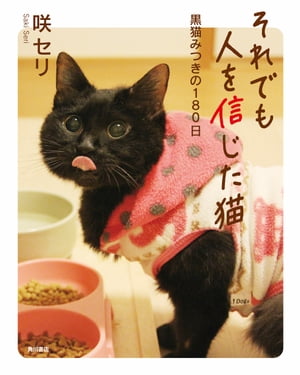 それでも人を信じた猫　黒猫みつきの１８０日