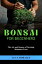 Bonsai for Beginners