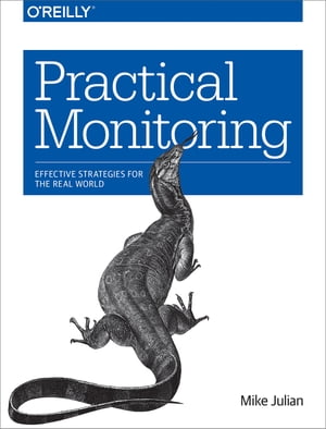 Practical Monitoring Effective Strategies for the Real World