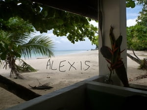 Alexis oder: der Sinn des Lebens in 2 MinutenŻҽҡ[ Ein Mensch ]