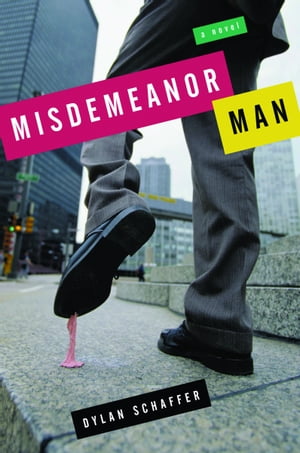 Misdemeanor Man A Novel