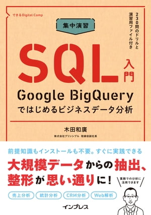 ŷKoboŻҽҥȥ㤨ֽ齬 SQL Google BigQueryǤϤӥͥǡʬϡŻҽҡ[ ע ]פβǤʤ3,080ߤˤʤޤ