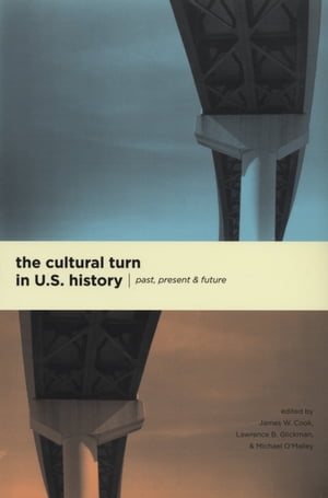 The Cultural Turn in U. S. History