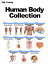 Human Body Collection