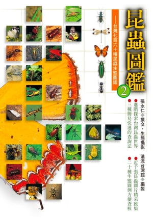 昆虫図鑑 昆蟲圖鑑(2)【電子書籍】[ 張永仁 ]