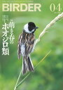 BIRDER2021年4月号【電子書籍】 BIRDER編集部