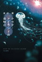 クラゲ・アイランドの夜明け【電子書籍】[ 渡辺優 ]