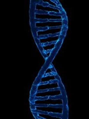 Human Genome First 1000 lines of Chromosome 1【