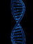 Human Genome First 1000 lines of Chromosome 1Żҽҡ[ Unknown ]