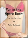 Fun in the Spare Room【電子書籍】[ Peter S