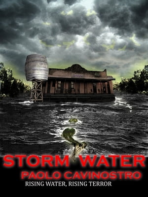 Stormwater Rising water, Rising TerrorŻҽҡ[ Paolo Cavinostro ]