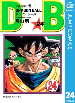 DRAGON BALL モノクロ版 24