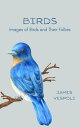 Birds Images of Birds and Their Follies【電子書籍】[ James D Vespoli ]