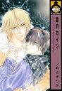 金のカイン【電子書籍】 あさぎり夕