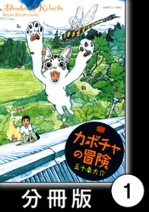 カボチャの冒険【分冊版】　雨の訪問者