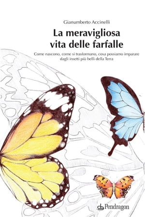 La meravigliosa vita delle farfalle