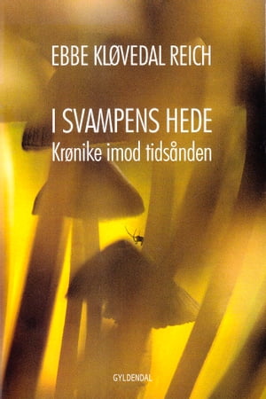 I svampens hede