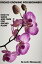 Orchid Growing For Beginners