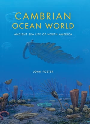 Cambrian Ocean World