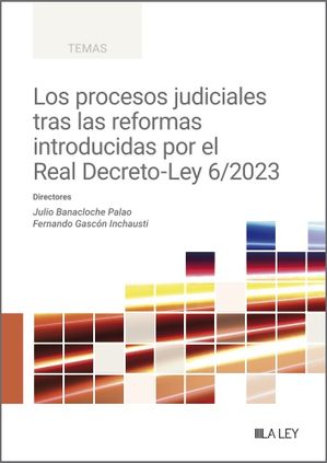 Los procesos judiciales tras las reformas introducidas por el Real Decreto-Ley 6/2023