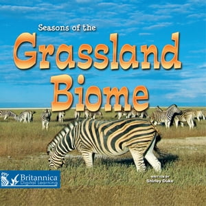 Seasons of the Grassland Biome