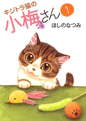 キジトラ猫の小梅さん（1）【電子