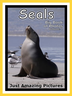 Just Seal Photos! Big Book of Photographs & Pictures of Seals, Vol. 1