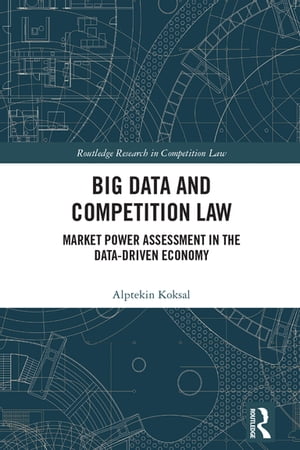 Big Data and Competition Law