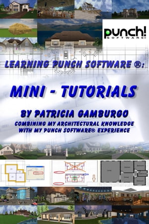 Learning Punch Software (R): Mini - Tutorials