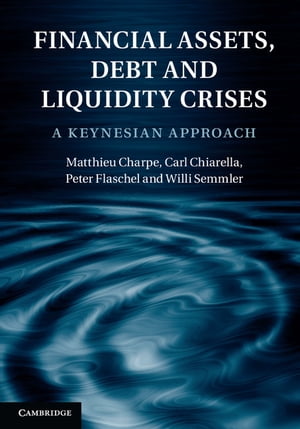 Financial Assets, Debt and Liquidity Crises