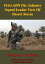101st ABN Div. Infantry Squad Leader View Of Desert Storm