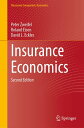 Insurance Economics