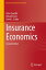 Insurance Economics