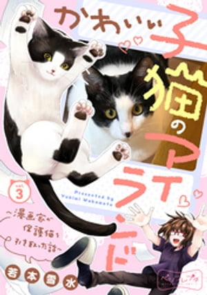 かわいい子猫のアイランド　〜漫画家が保護猫を引き取った話〜　ベツフレプチ（３）