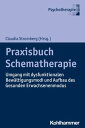 Praxisbuch Schematherapie Umgang mit dysfunktionalen Bew?ltigungsmodi und Aufbau des Gesunden Erwachsenenmodus