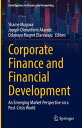 Corporate Finance and Financial Development An Emerging Market Perspective on a ...