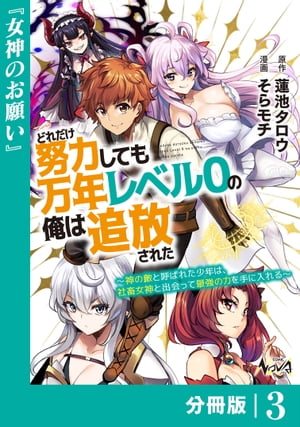 どれだけ努力しても万年レベル０の俺は追放された〜神の敵と呼ばれた少年は、社畜女神と出会って最強の力を手に入れる〜【分冊版】（ノヴァコミックス）３