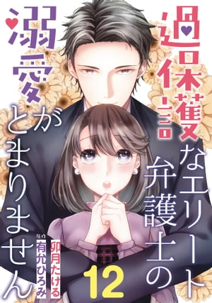 過保護なエリート弁護士の溺愛がとまりません【分冊版】12話